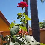 Le Rose Di 別荘 *