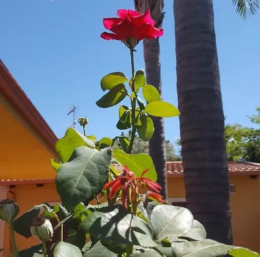 Le Rose Di Prázdninový dům *