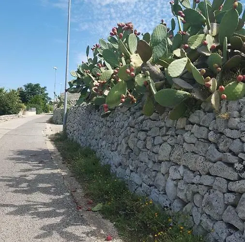 度假居 Le Rose Di